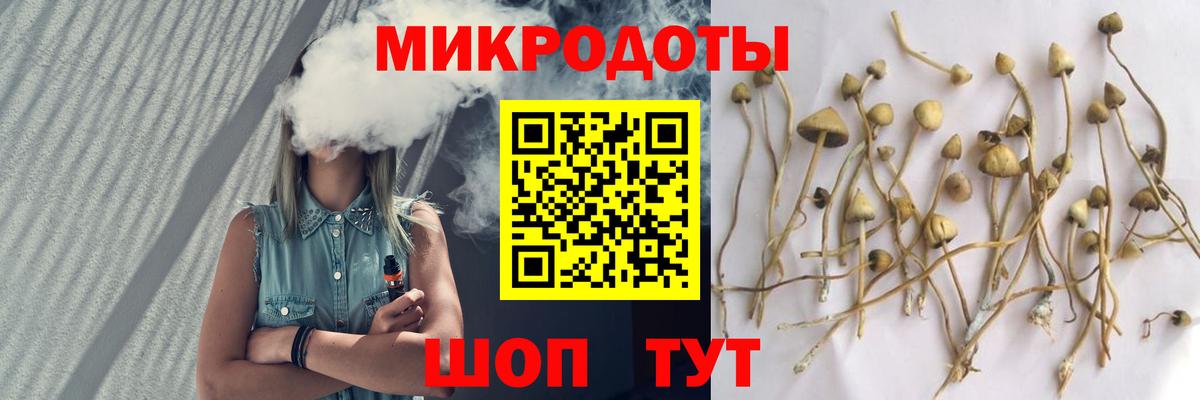 Галлюциногенные грибы прущие грибы Ялта